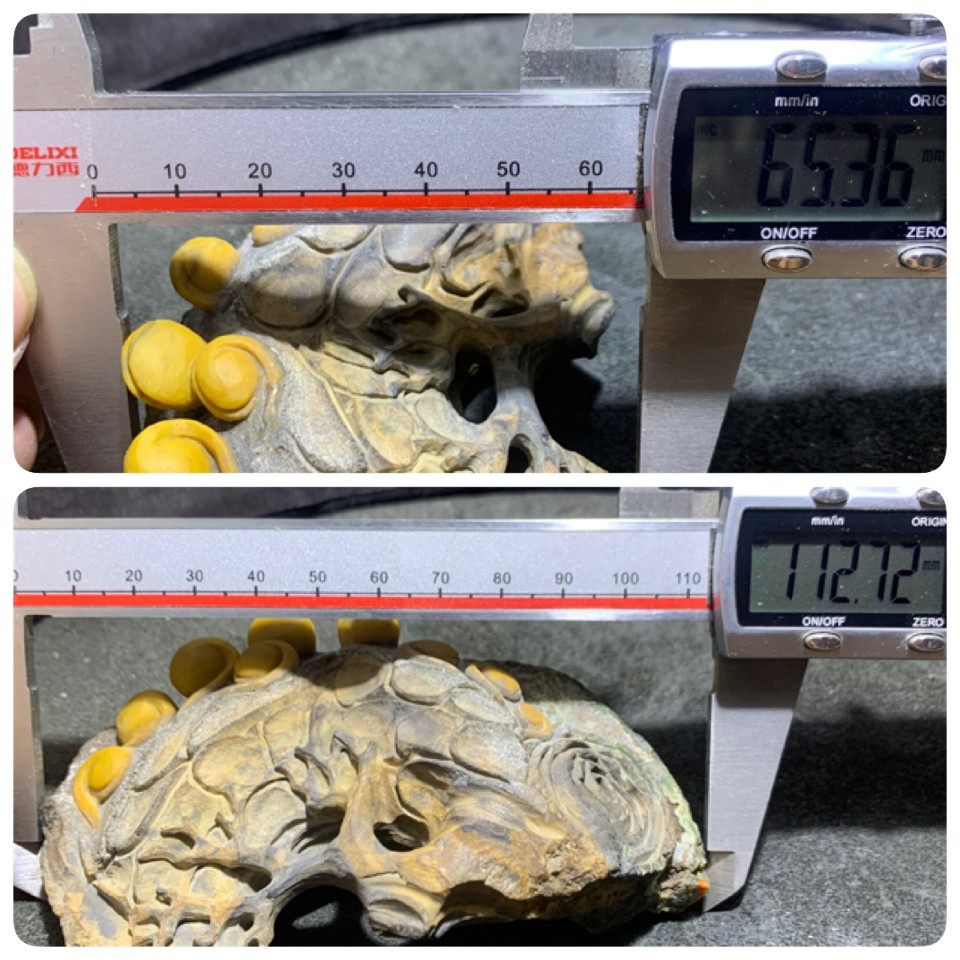 精美战国红玛瑙原石原皮巧雕枯木逢春摆件一个，