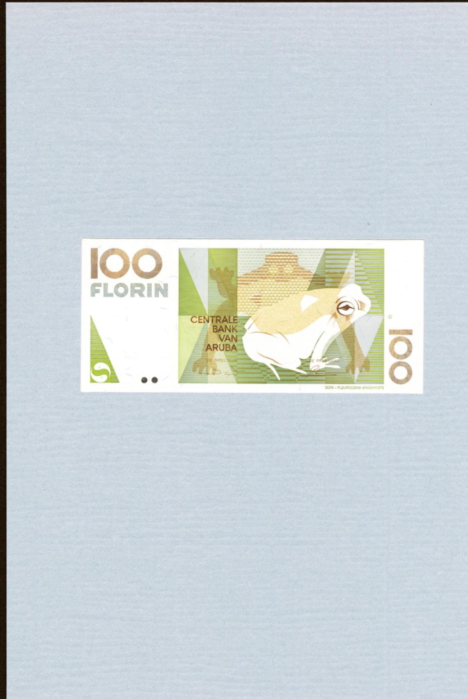 【Blue Auction】✨世界纸币精拍第301期——新纪元 【全同0000000171超小号 原装带册】阿鲁巴 1990年初版 10～100弗罗林 全新UNC 如今少见 值得收藏