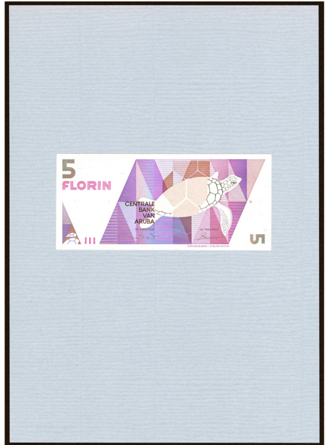 【Blue Auction】✨世界纸币精拍第301期——新纪元 【全同0000000171超小号 原装带册】阿鲁巴 1990年初版 10～100弗罗林 全新UNC 如今少见 值得收藏