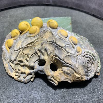 精美战国红玛瑙原石原皮巧雕枯木逢春摆件一个， - 精美战国红玛瑙原石原皮巧雕枯木逢春摆件一个，