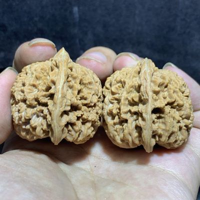 精美满天星狮子头一对 - 精美满天星狮子头一对