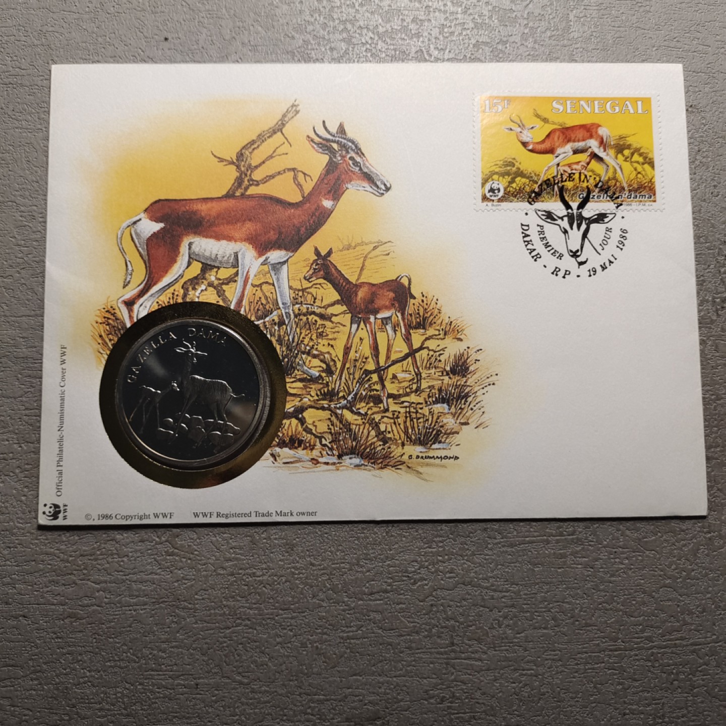 0起1加-纯粹捡漏拍-173银币套币场