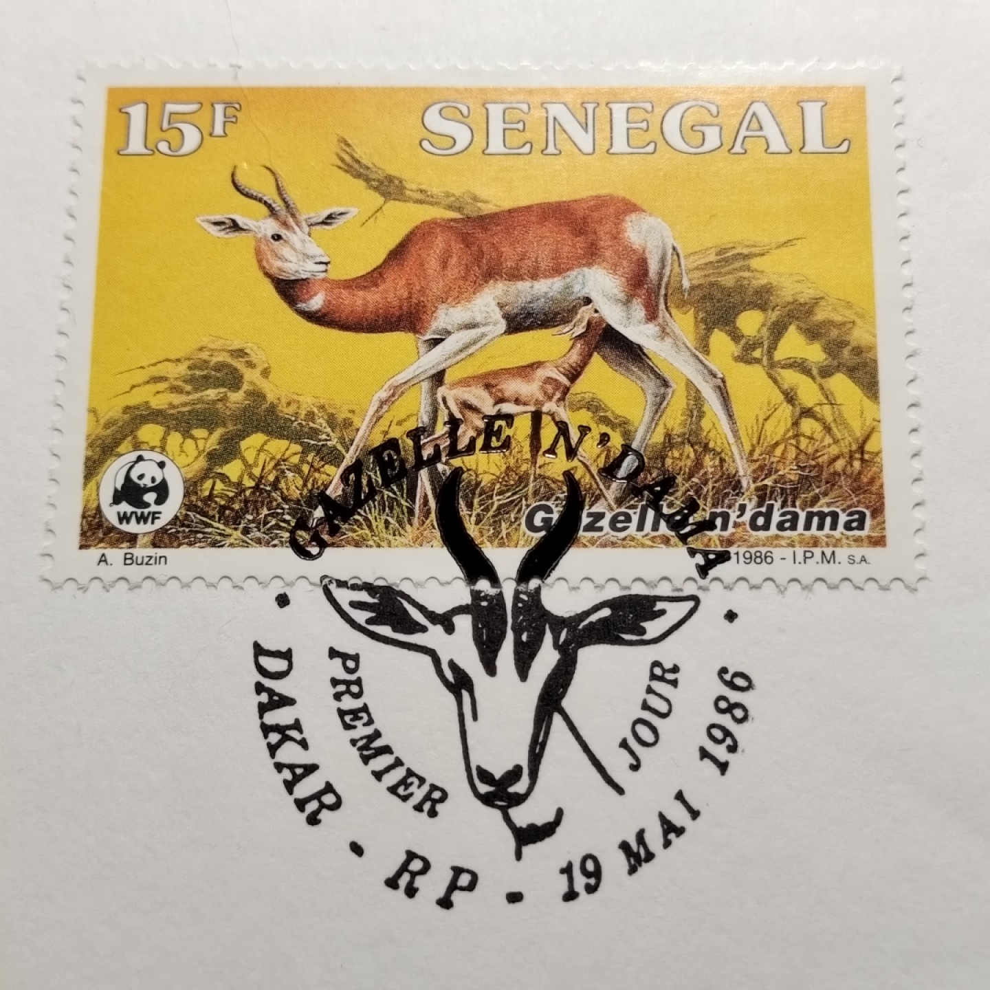 0起1加-纯粹捡漏拍-173银币套币场