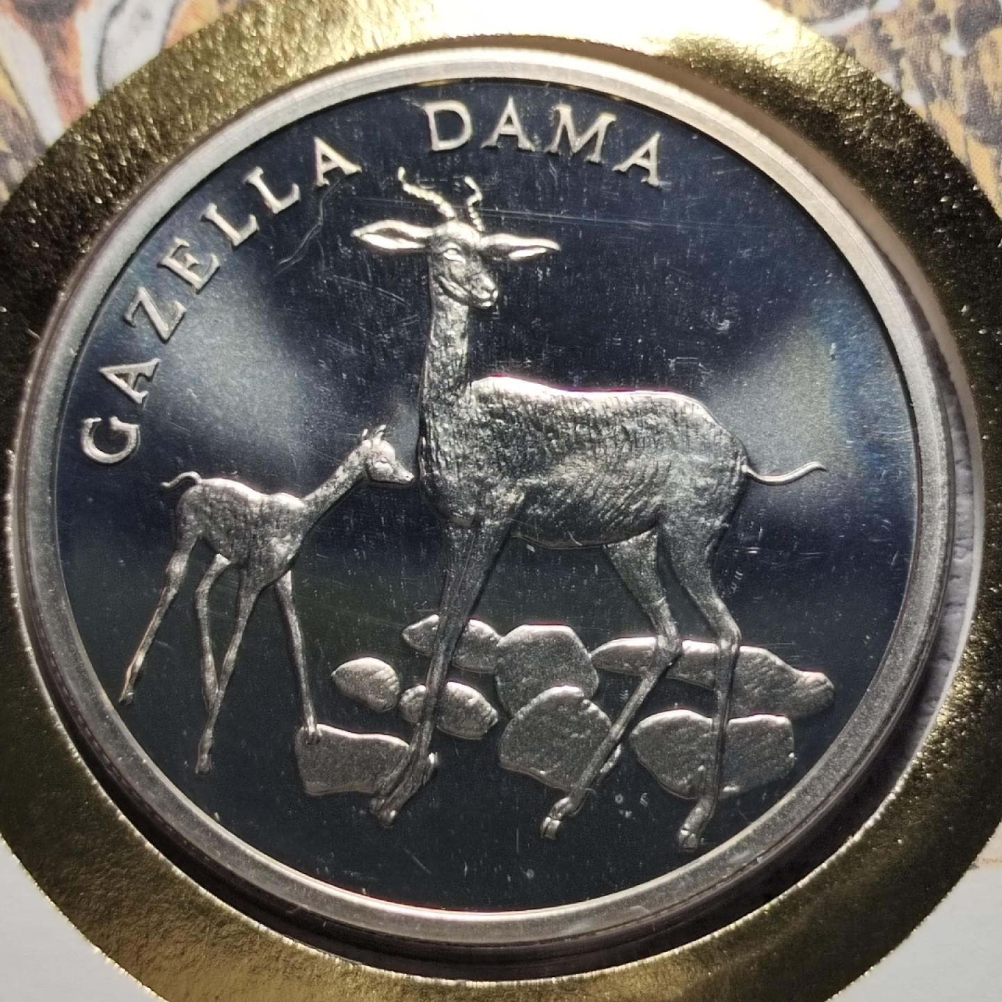 0起1加-纯粹捡漏拍-173银币套币场