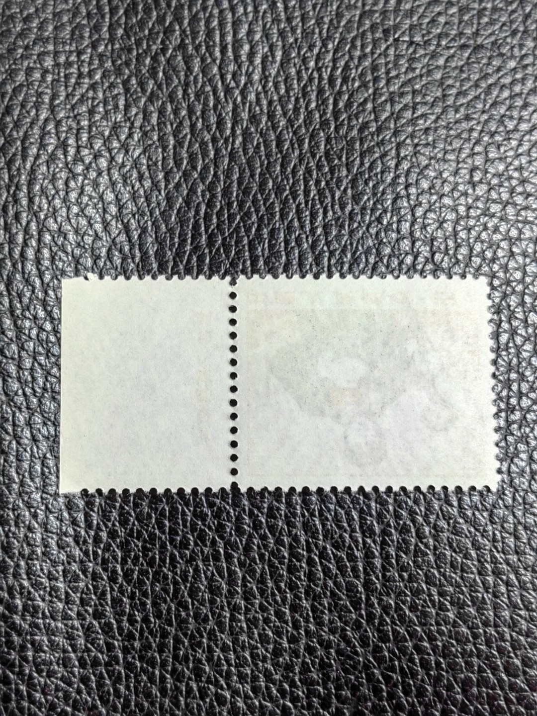 洪涛臻品批发群  精选邮票限时拍卖第二百零二期 厂名精品★组外品★普无号 11.5°细齿 带厂名，工人裸票一枚，普通票下边16个齿，细齿组外品19个齿，存世量少，全品可评级，三俗稀缺精品，喜欢不要错过