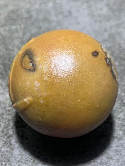 精美战国红玛瑙风化纹亚光手工雕刻道字圆珠一颗！ 精美战国红玛瑙风化纹亚光手工雕刻道字圆珠一颗！