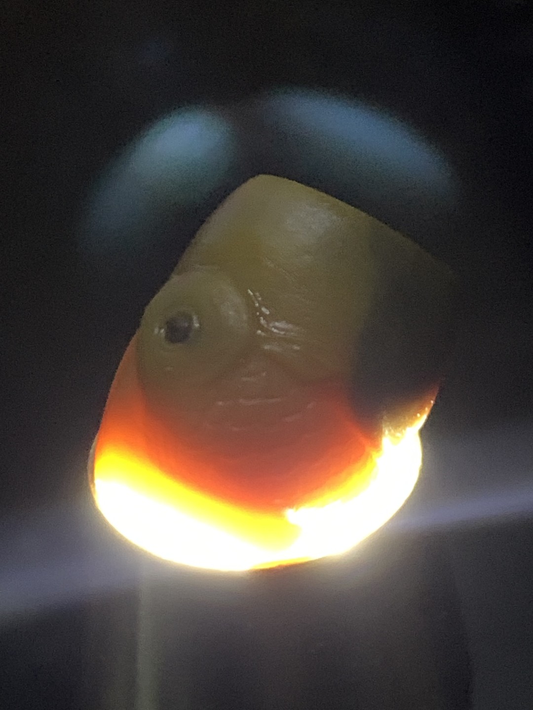 精美冰飘亚光战国红玛瑙手工俏色巧雕富贵有鱼桶珠一颗！