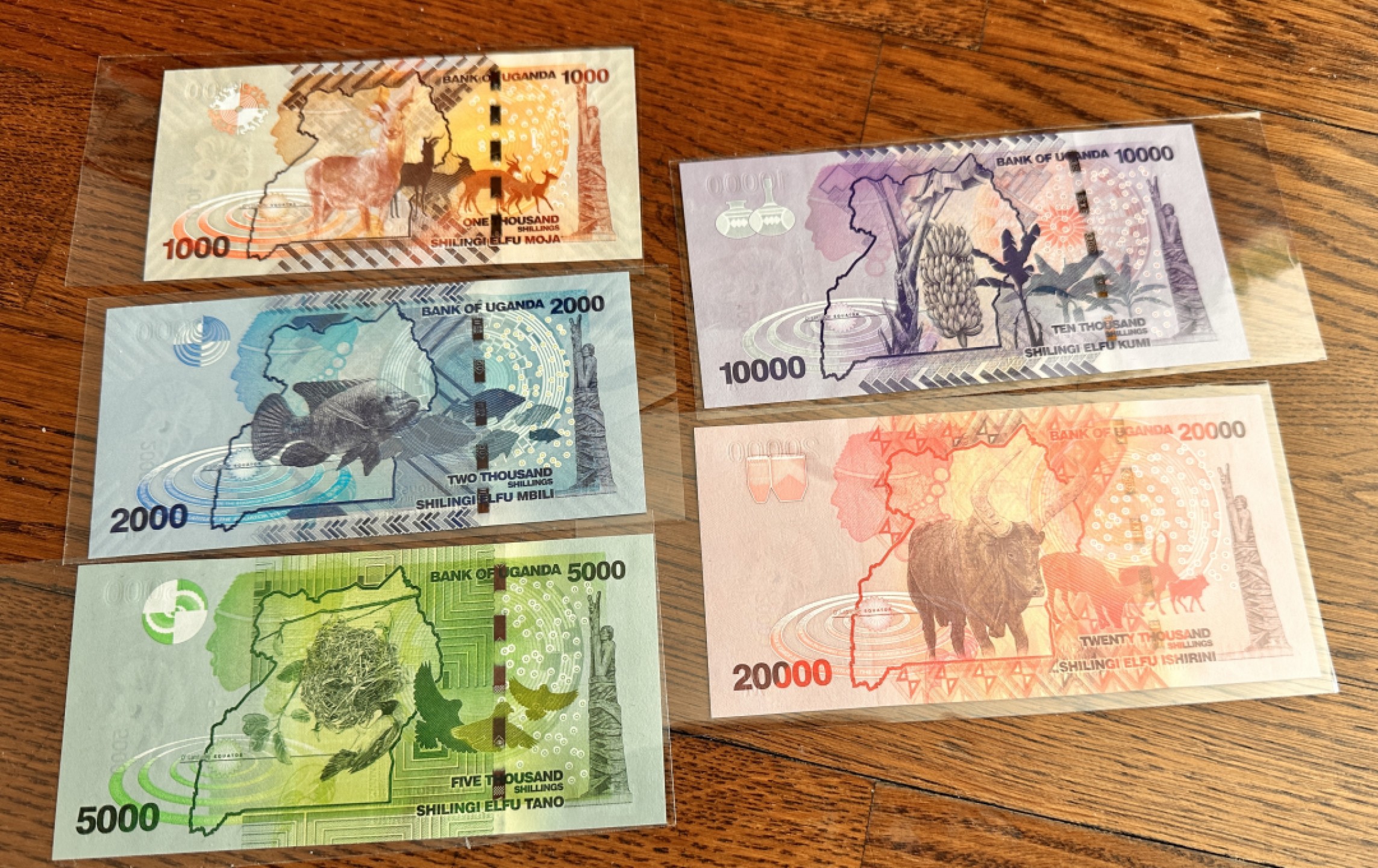 Chase Auction 第19期 - - 外钞、民国钞和人民币混合场！ 2010年乌干达纸币五张，均为首发年份，5000为AA冠，品相如图，UNC！