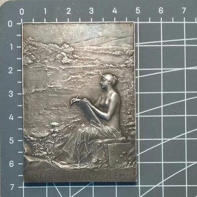 🌸奇货可居🌸 第七十四场 法国章牌专场 【一周年】 - roty镀银铜章 装饰艺术联盟