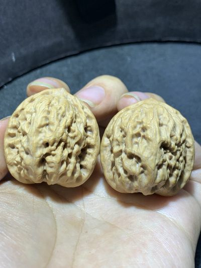精美小众野狼狮子头昌闷文玩核桃一对， - 精美小众野狼狮子头昌闷文玩核桃一对，