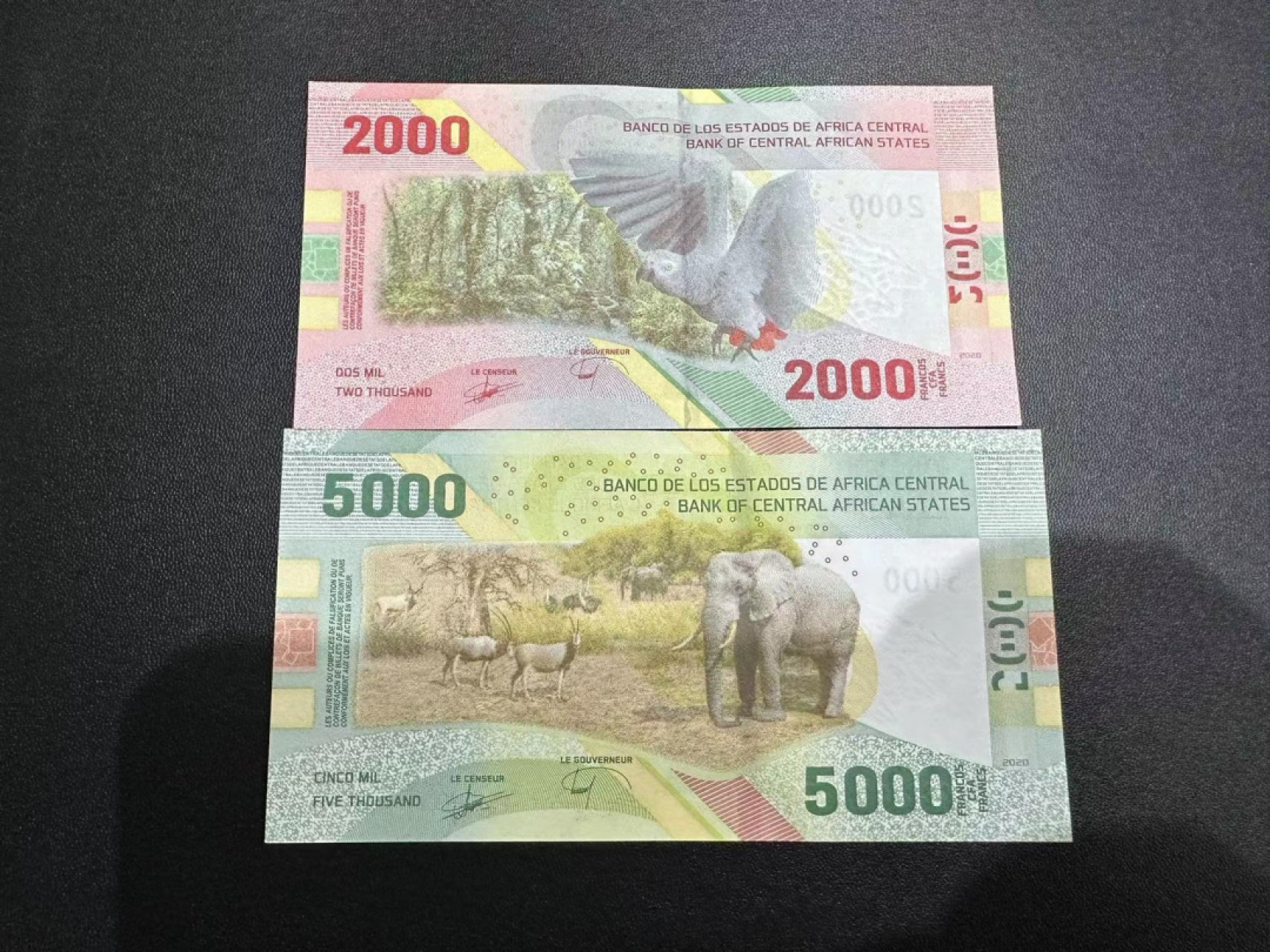 《外钞收藏家》第二百五十一期 中非2000、5000法郎 全新UNC