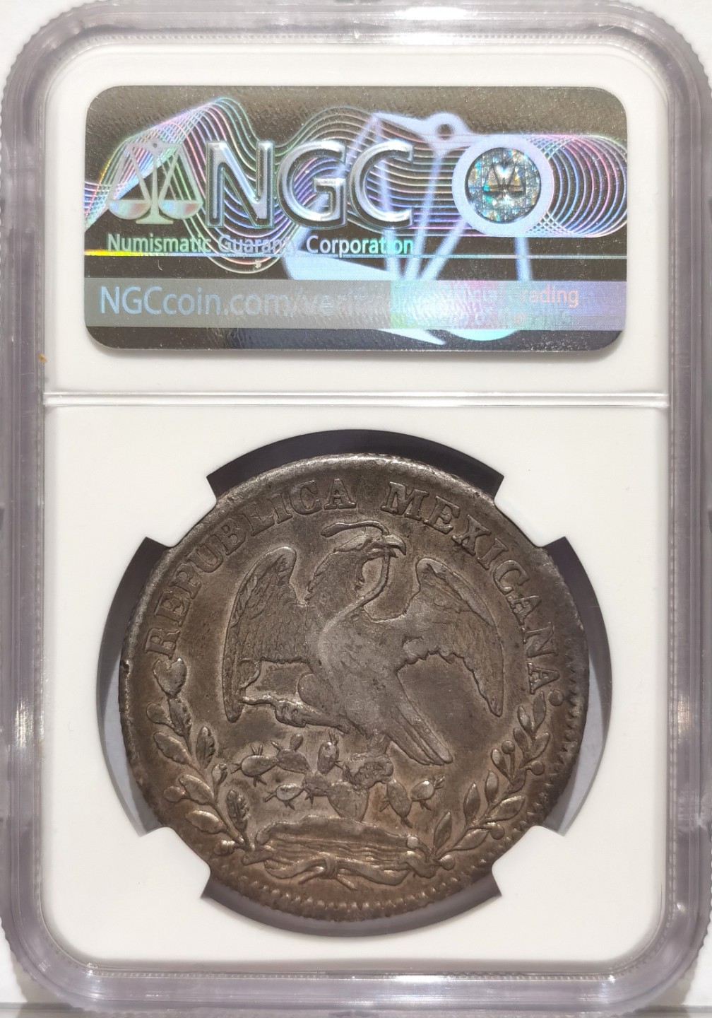 博洋堂世界钱币拍卖第019期（全场包邮） NGC XF 墨西哥1839年GA JG版花边鹰洋，海盗书五级币，币胚错误，可评错版