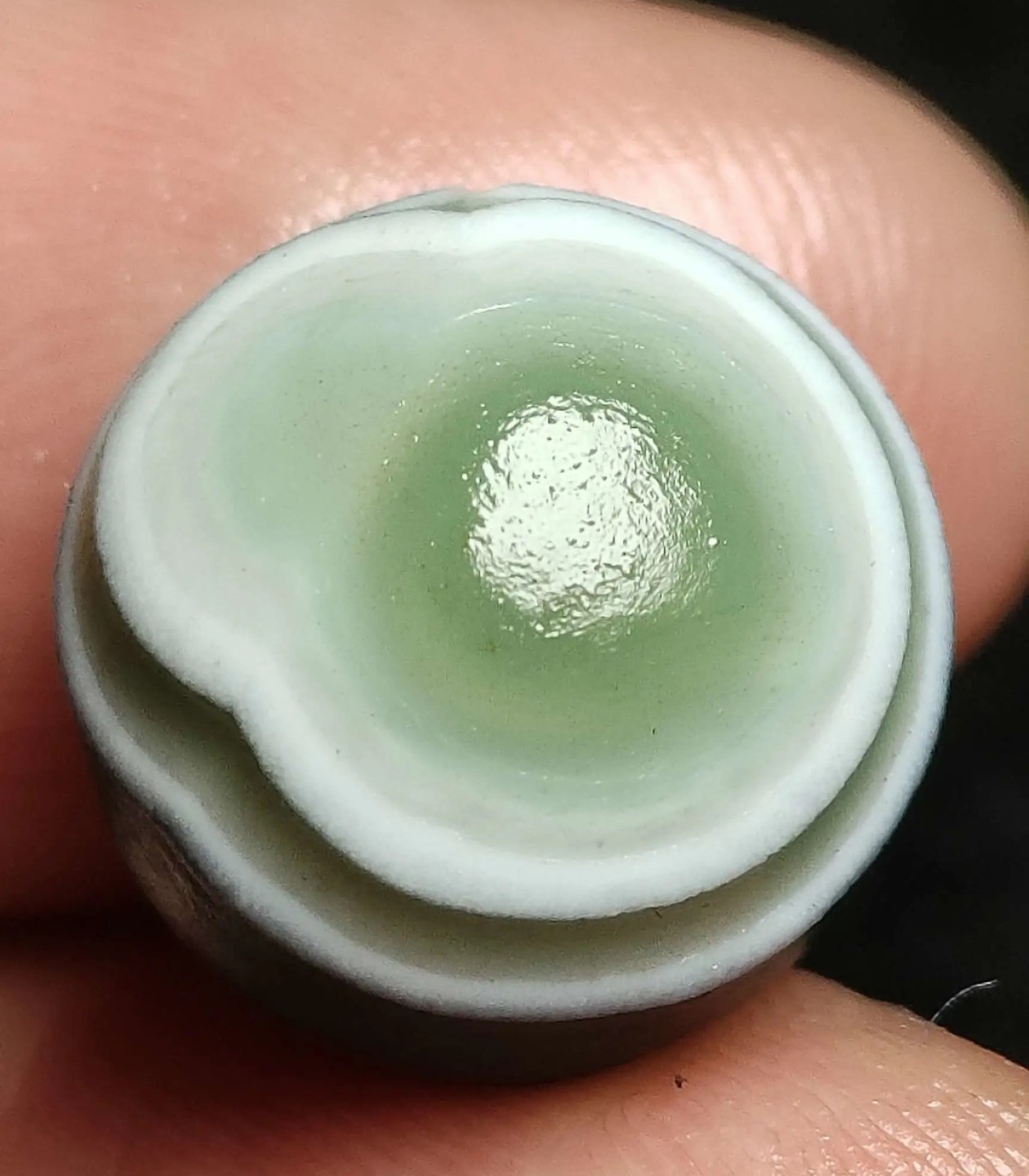 ｜冷门出品｜精选专拍·第壹拾伍场·