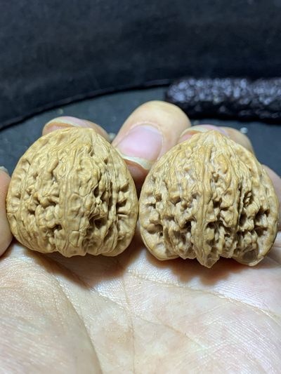 仅此一对，手捻皮质硬传统品种矮桩密纹狮子头文玩核桃麻核桃一对 - 仅此一对，手捻皮质硬传统品种矮桩密纹狮子头文玩核桃麻核桃一对