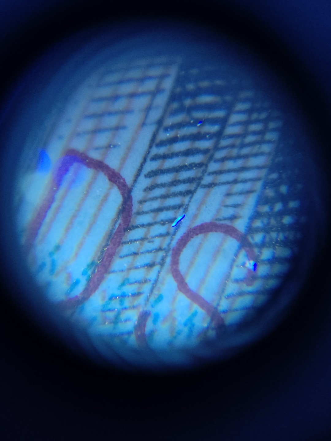 塞外藏品精品荧光币专场28 8001DS黄金甲金满堂乾坤评级币