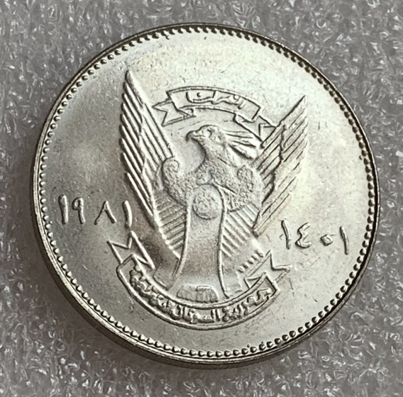 瓶子🏺第83期拍卖会 苏丹1981年世界粮农组织FAO大牛和小牛10格西纪念币  原光