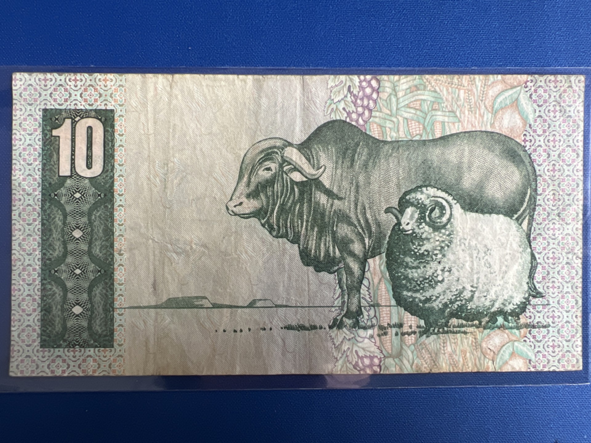 泡泡堂微拍第八十八幕硬币纸币捡漏可累计专场👿👿，累计满二十元包邮，接受代拍业务 南非10兰特