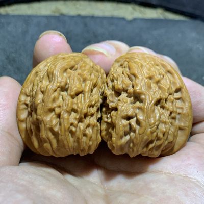 仅此一对，精美精品异形半壁江山白狮子文玩核桃一对 - 仅此一对，精美精品异形半壁江山白狮子文玩核桃一对