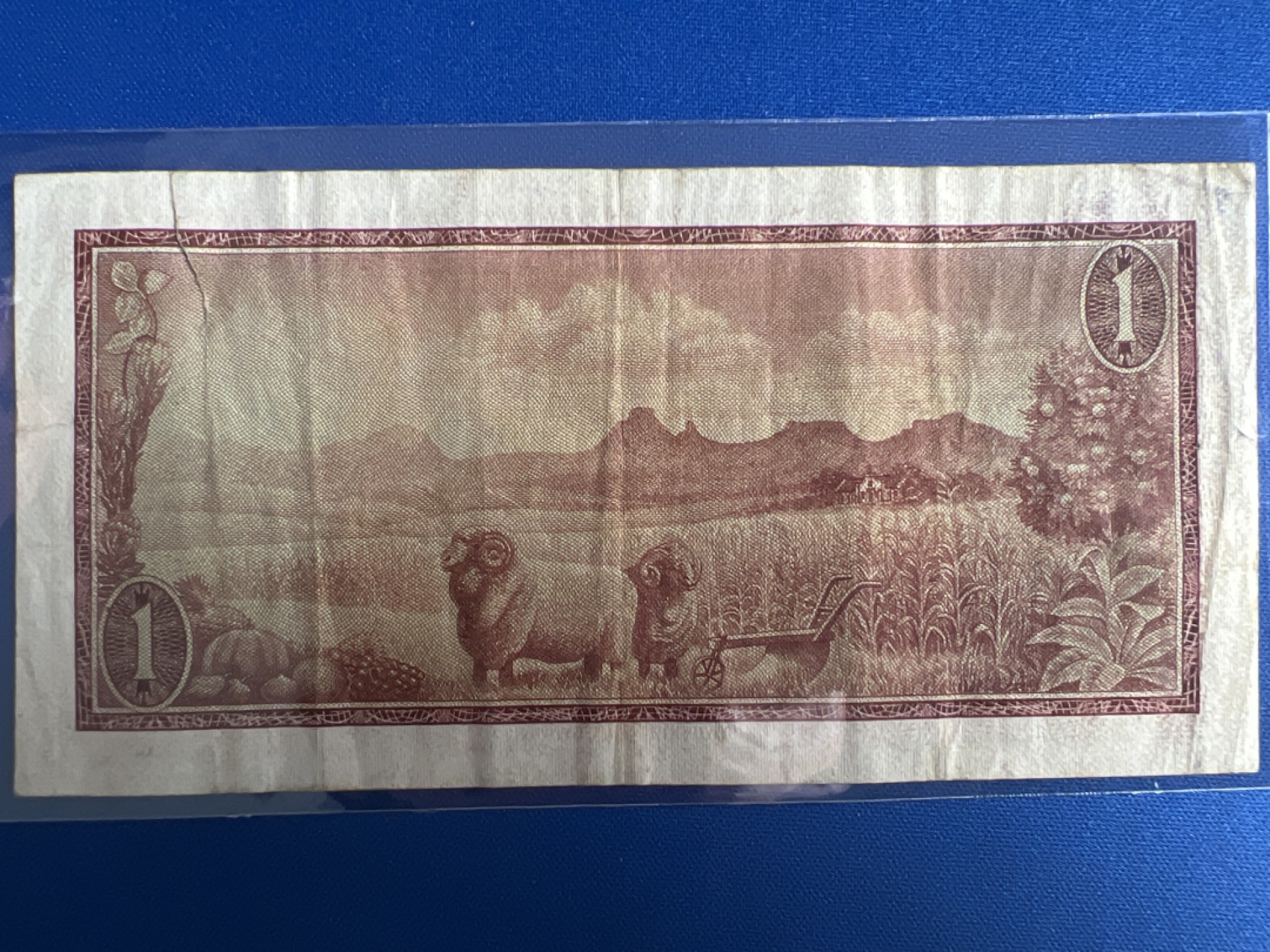 泡泡堂微拍第八十八幕硬币纸币捡漏可累计专场👿👿，累计满二十元包邮，接受代拍业务 南非1兰特