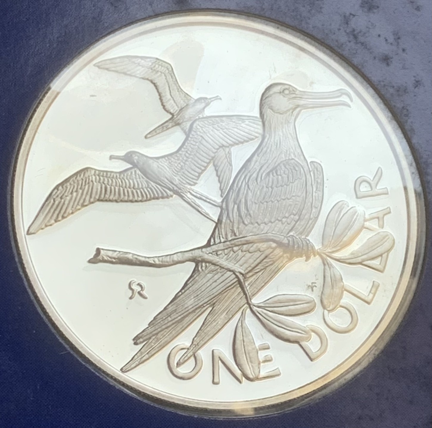 瓶子🏺第83期拍卖会 英属维尔京群岛1975年美洲鸟类精装全套6枚硬币  原盒证  含1元大银币