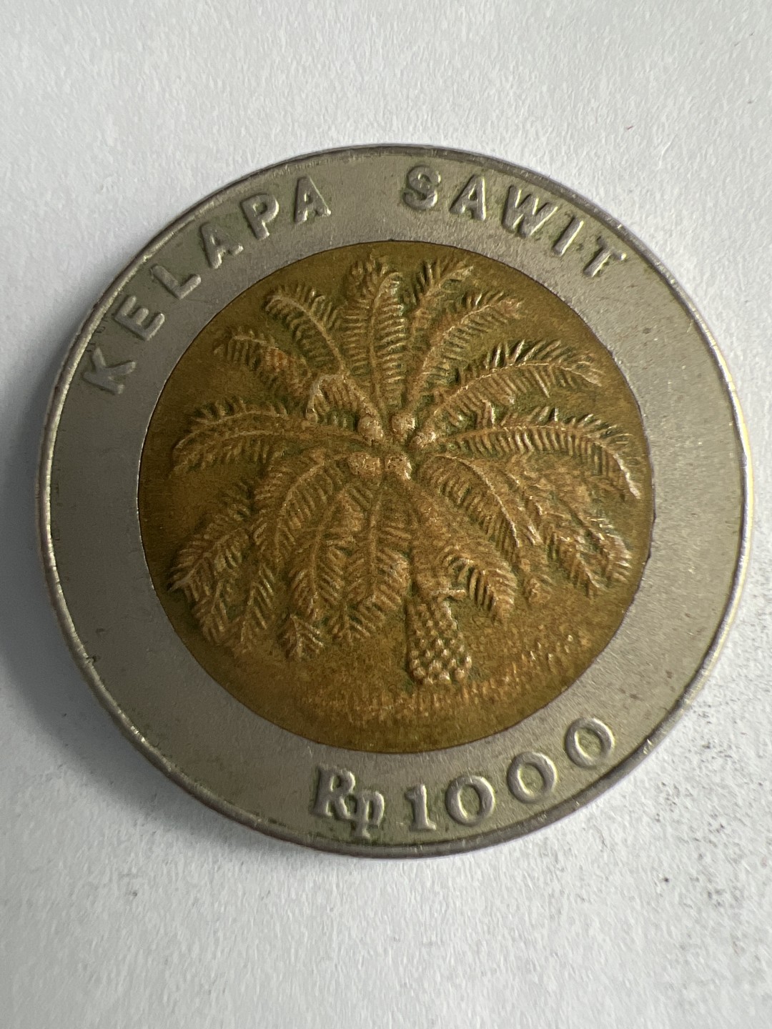 泡泡堂微拍第八十八幕硬币纸币捡漏可累计专场👿👿，累计满二十元包邮，接受代拍业务 印度尼西亚1000卢比双色