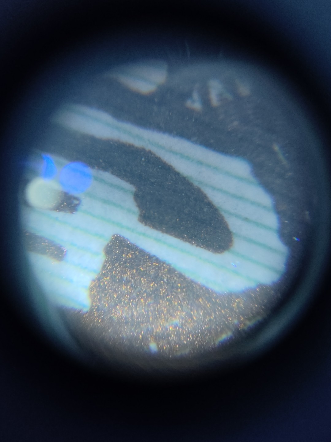 塞外藏品精品荧光币专场28 8001DS黄金甲金满堂乾坤评级币