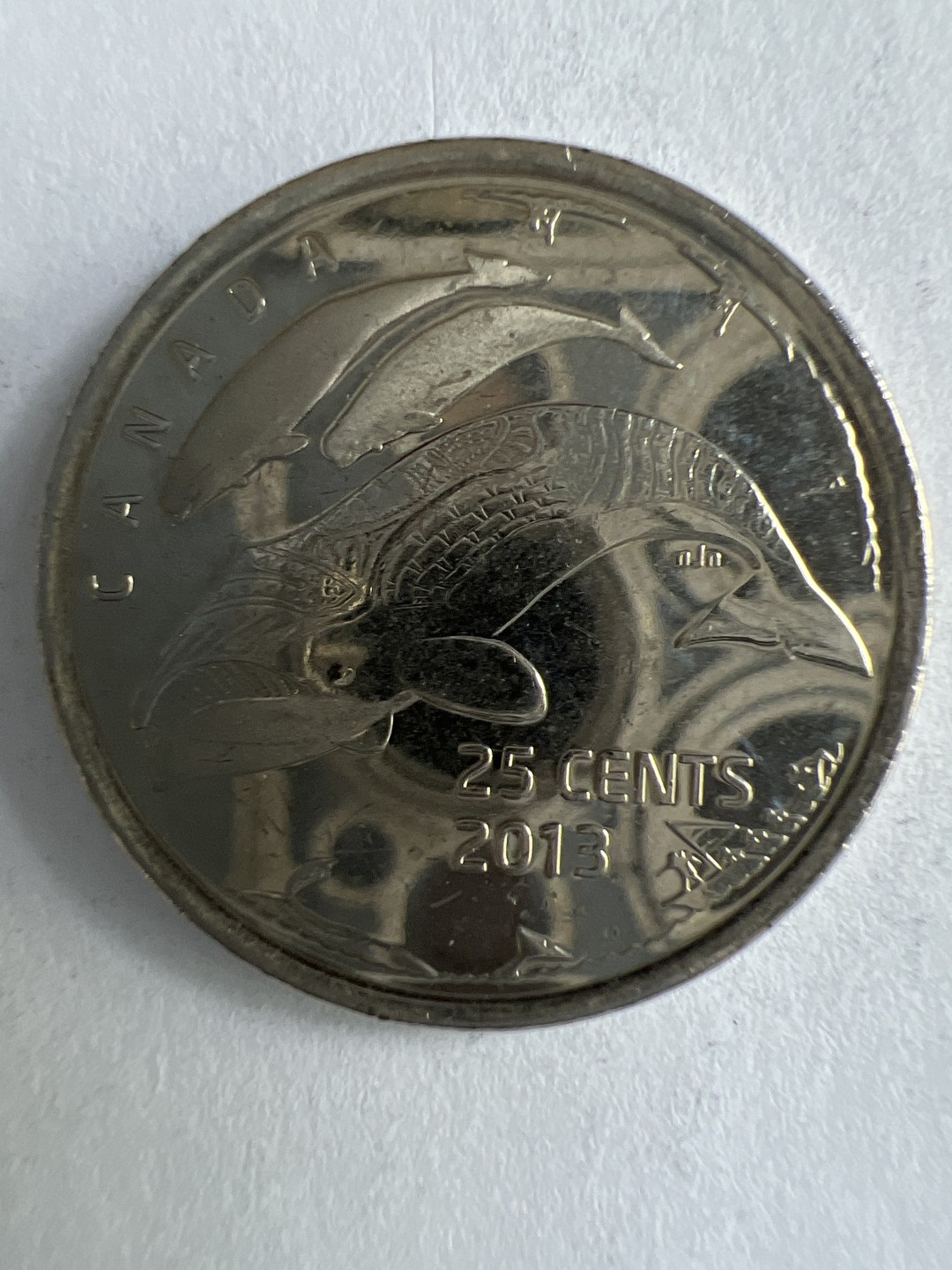 泡泡堂微拍第九十幕硬币捡漏可累计专场👿👿，累计满二十元包邮，接受代拍业务 加拿大25分纪念币