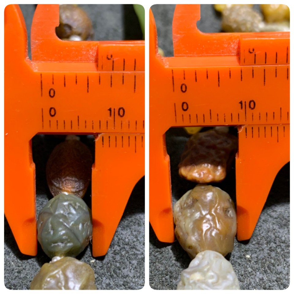 精美阿拉善筋脉玛瑙大颗粒原石108项链一条，