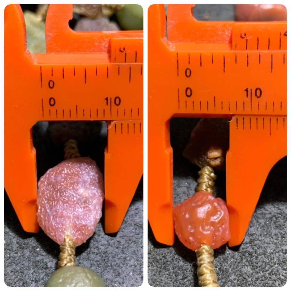 精美新疆黑山筋脉石玛瑙原石项链一条，