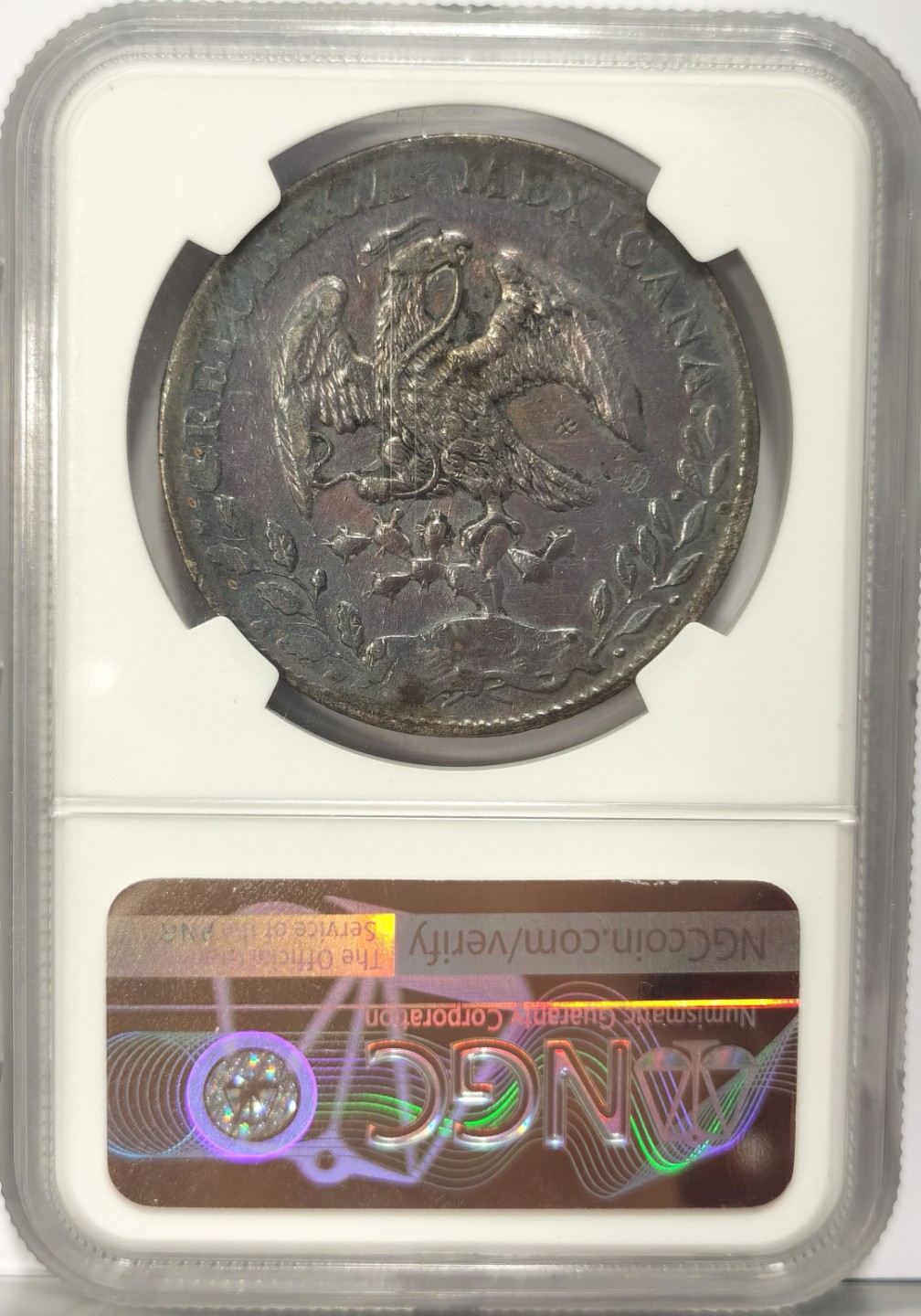 博洋堂世界钱币拍卖第019期（全场包邮） NGC XF 墨西哥1882年HO JA版花边鹰洋，五级鹰