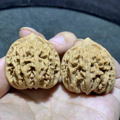 小众灯笼狮子头文玩核桃麻核桃一对！ - 小众灯笼狮子头文玩核桃麻核桃一对！