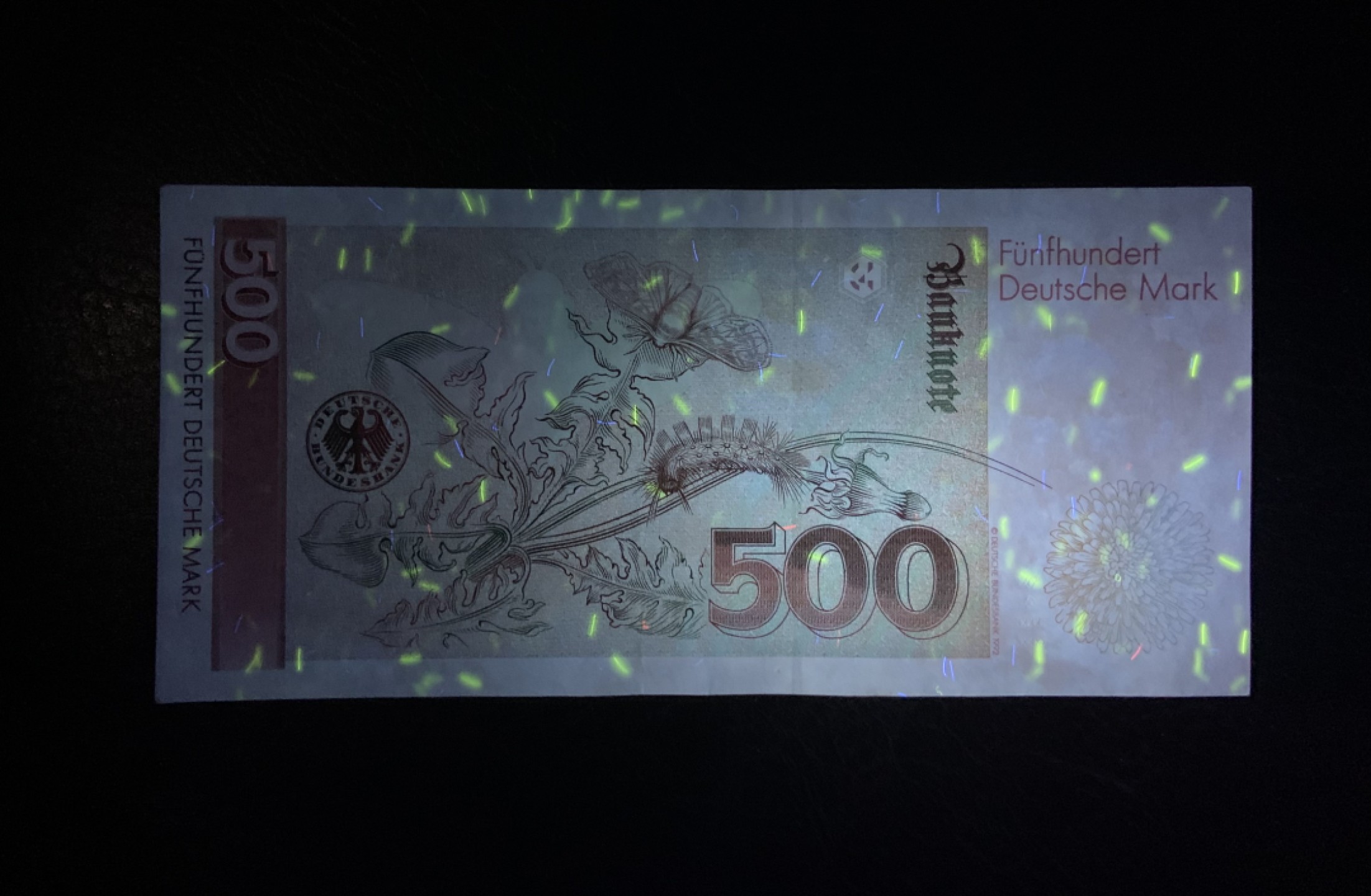 收藏联盟Quantum Auction 第241期拍卖  德国联邦1991年500马克 品相XF~AU- 德国央行永久兑换欧元  昆虫学家 绘图家 梅里安