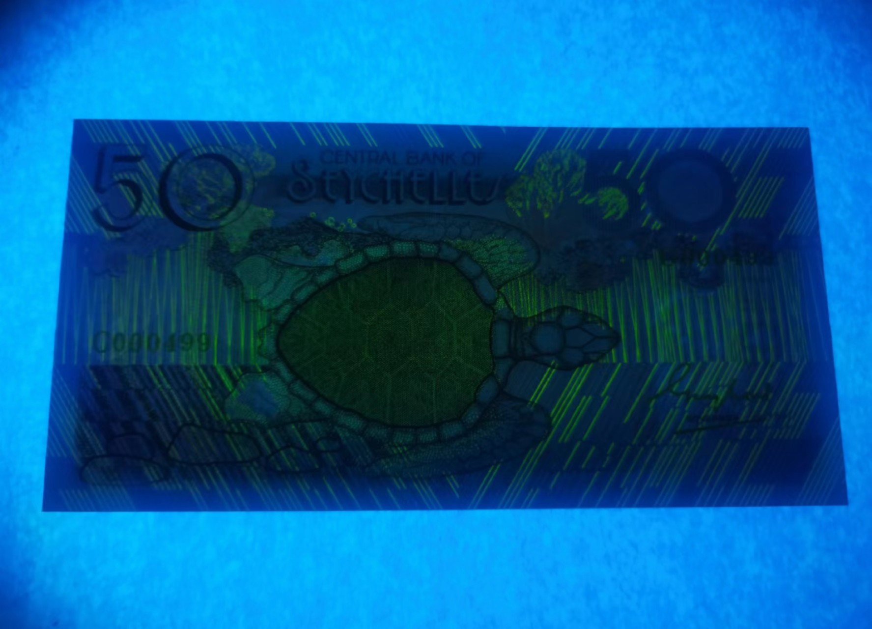 外钞荟萃x民国风云专场 塞舌尔1983版50卢比 百位小号 全新品相