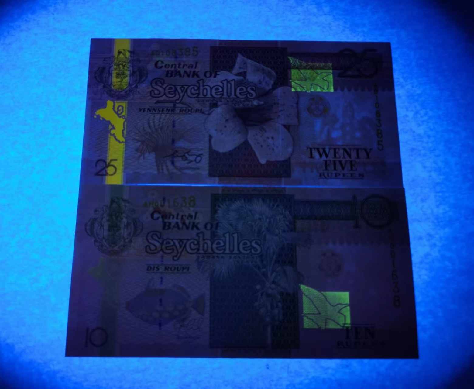 外钞荟萃x民国风云专场 塞舌尔10/25卢比一对 全新品相