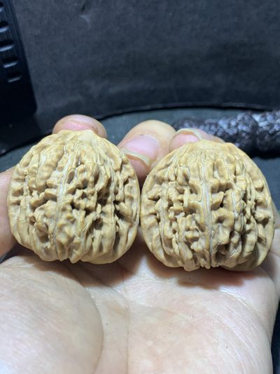 精美山地楼，四座楼狮子头文玩核桃涞水麻核桃一对， - 精美山地楼，四座楼狮子头文玩核桃涞水麻核桃一对，