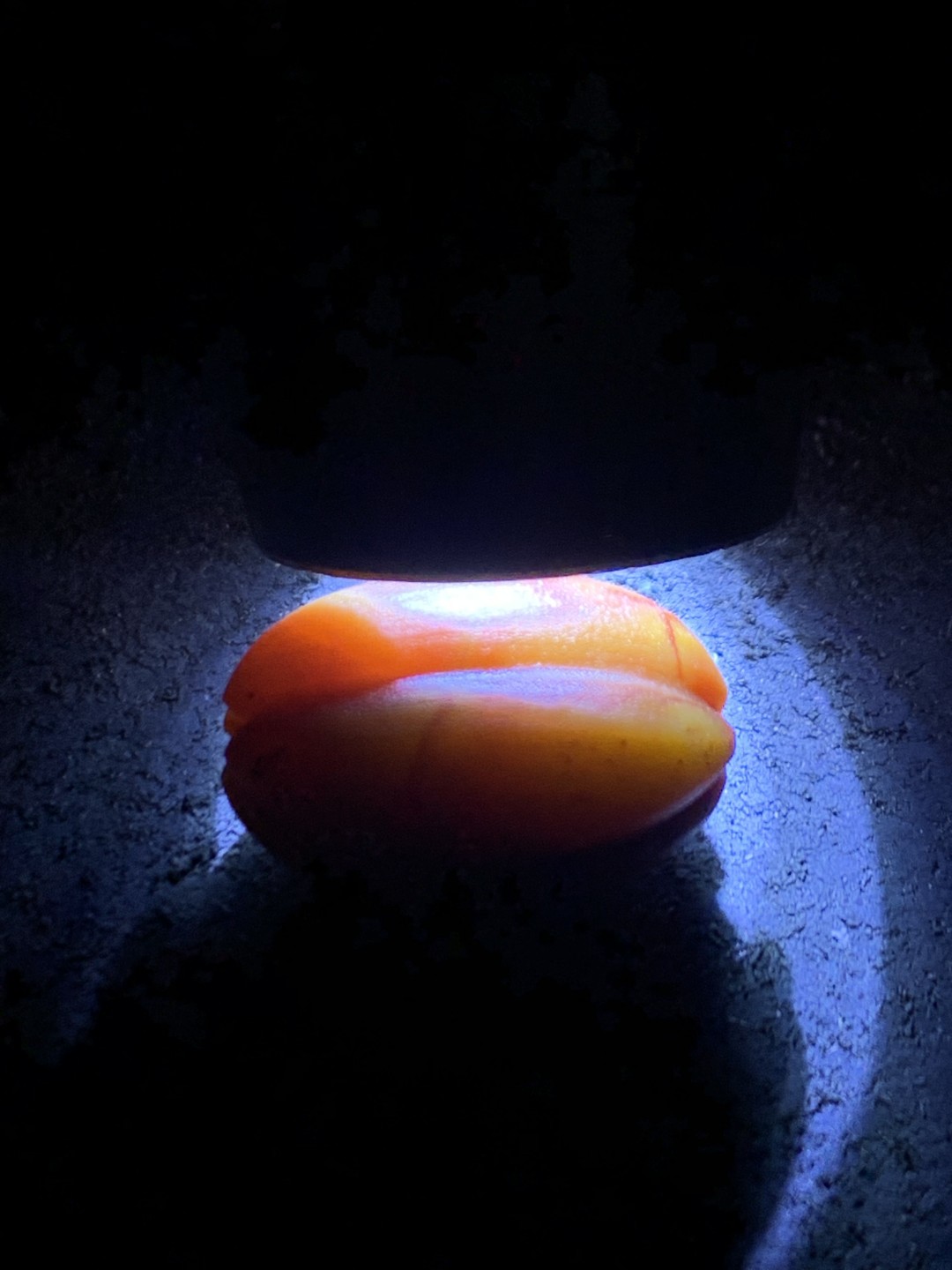 精美战国红玛瑙亚光瓜珠一颗