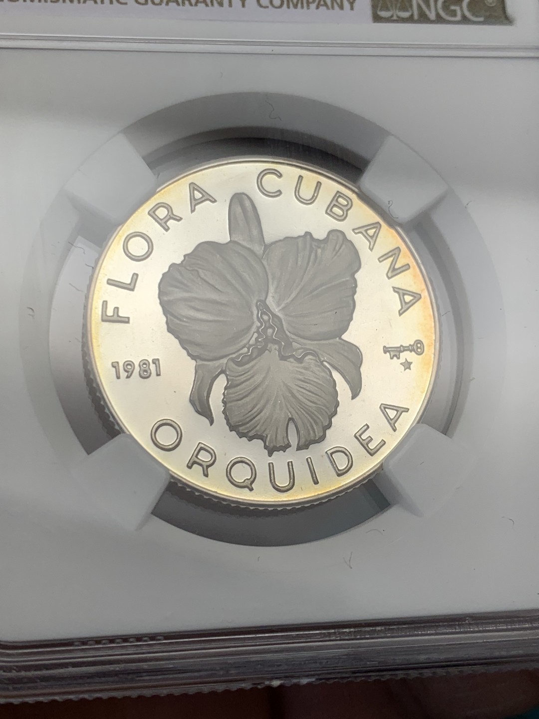 《竞宝斋》第146场-周日，周一 2场 (全场包邮) NGC-PF68 古巴1981年 兰花5比索精制银币 普制比较常见，精制很少