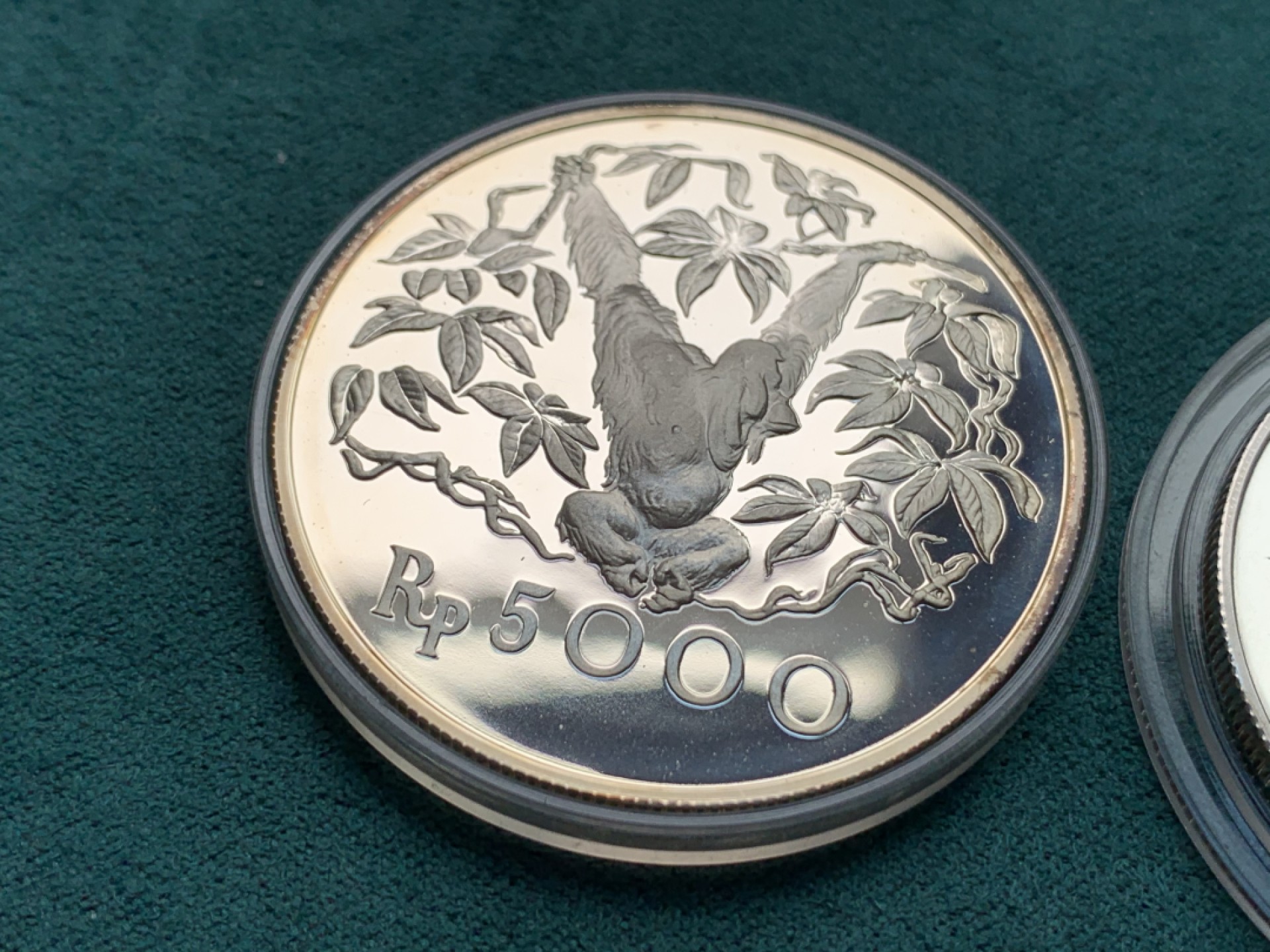 《竞宝斋》第146场-周日，周一 2场 (全场包邮) 印度尼西亚1974年2000－5000卢比精制动物银币一对，发行量稀少