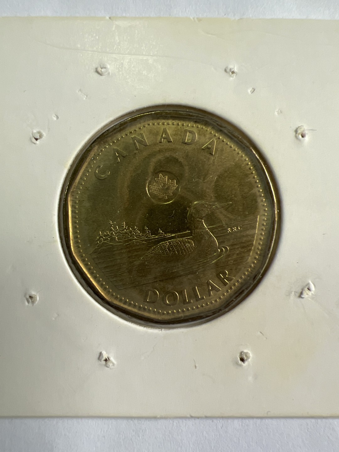 泡泡堂微拍第一百〇三幕硬币捡漏可累计专场👿👿，累计满二十元包邮，接受代拍业务 加拿大一元纪念币