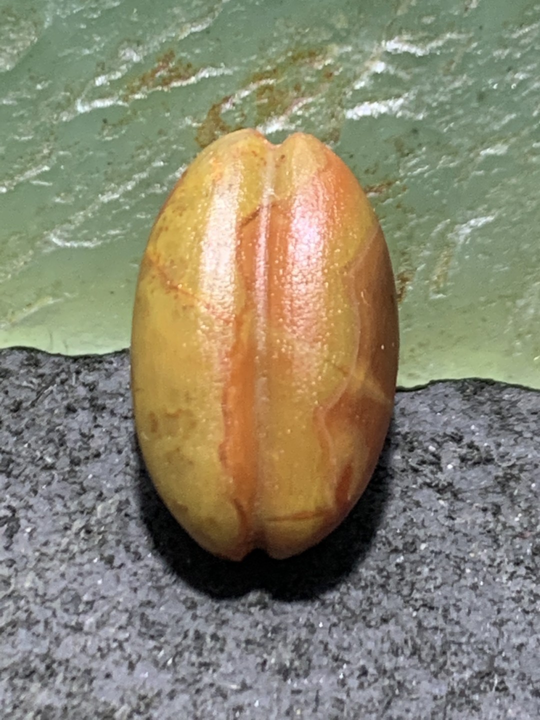 精美战国红玛瑙亚光瓜珠一颗