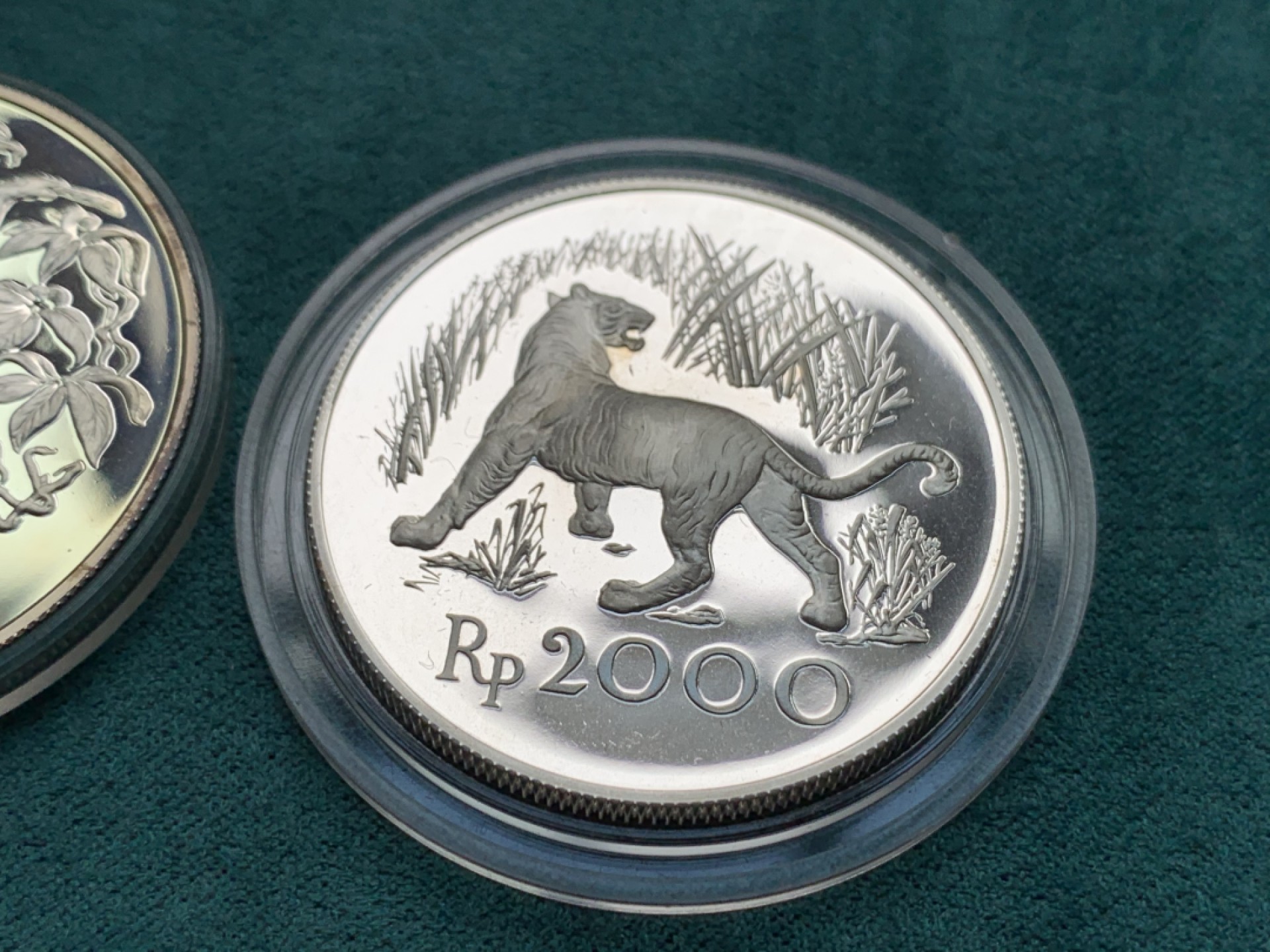 《竞宝斋》第146场-周日，周一 2场 (全场包邮) 印度尼西亚1974年2000－5000卢比精制动物银币一对，发行量稀少