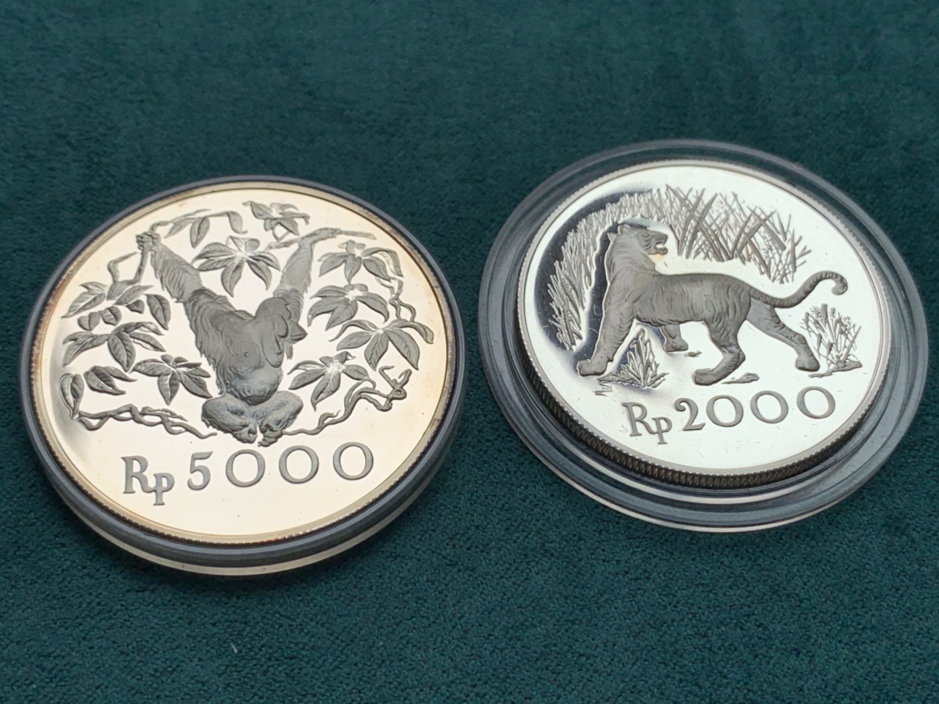 《竞宝斋》第146场-周日，周一 2场 (全场包邮) 印度尼西亚1974年2000－5000卢比精制动物银币一对，发行量稀少
