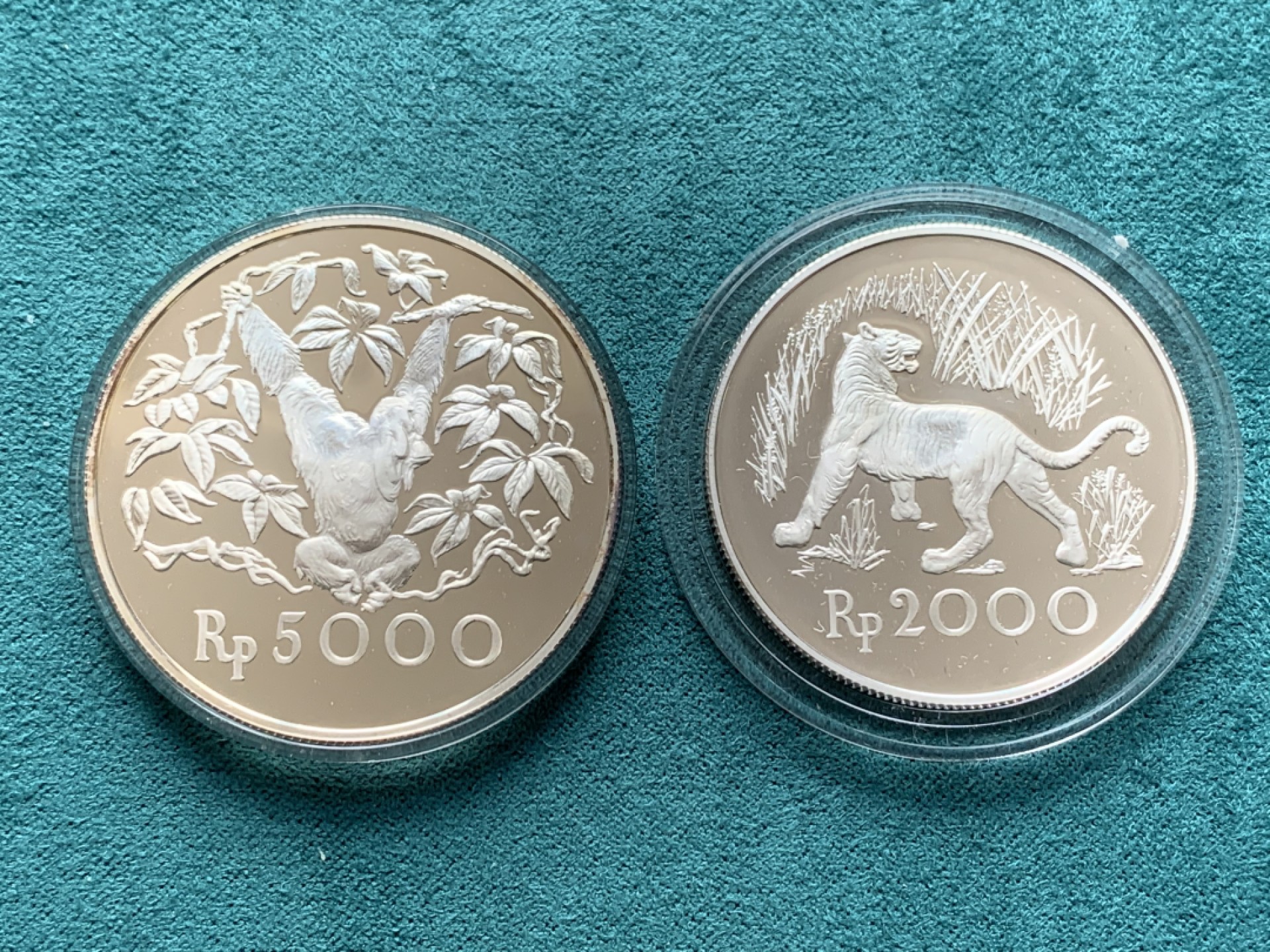 《竞宝斋》第146场-周日，周一 2场 (全场包邮) 印度尼西亚1974年2000－5000卢比精制动物银币一对，发行量稀少