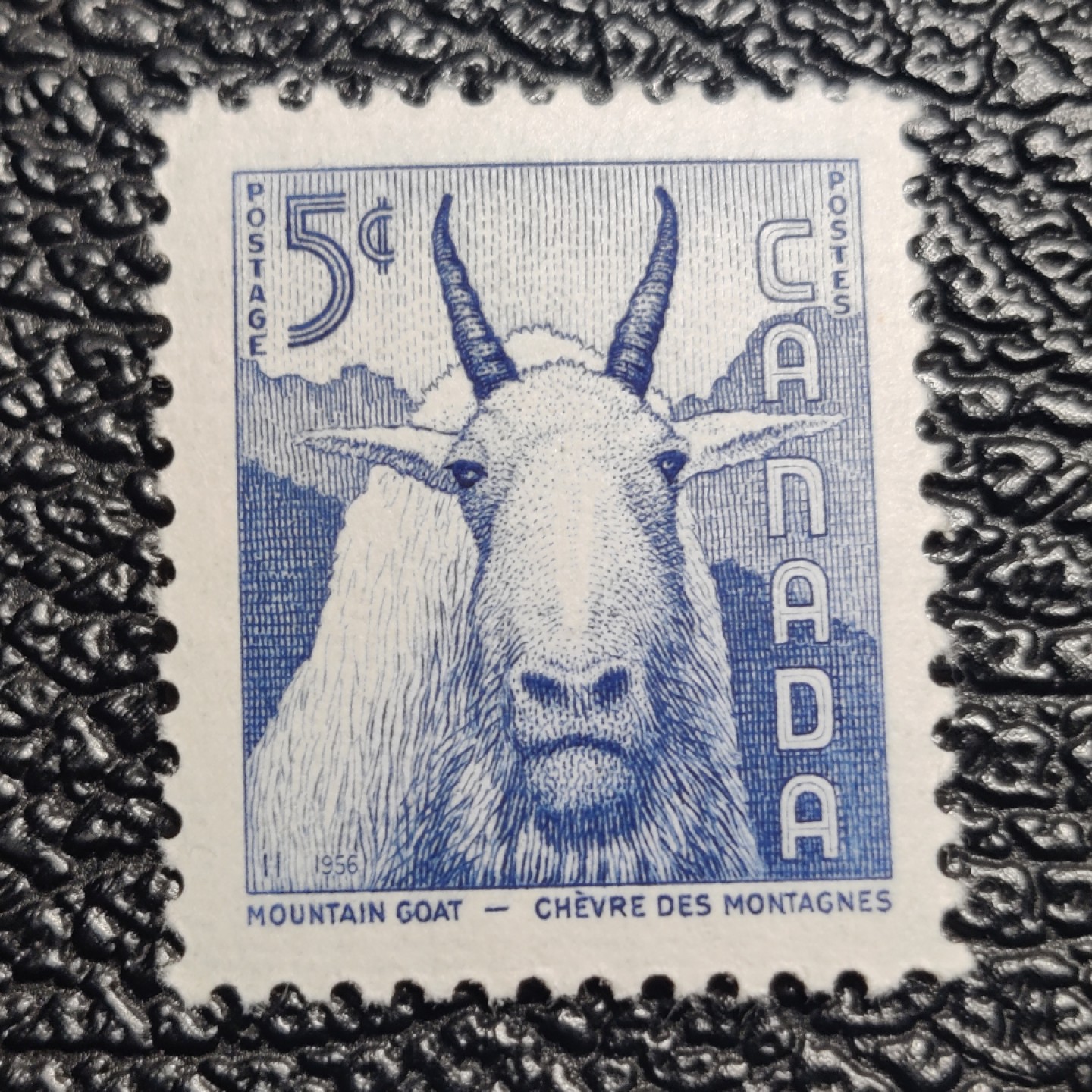 洪涛臻品批发群  精选邮票限时拍卖第二百七十七期 加拿大1956年 山羊, 精美雕刻版, 原胶完美润亮 相当难得的品相, 漂亮！