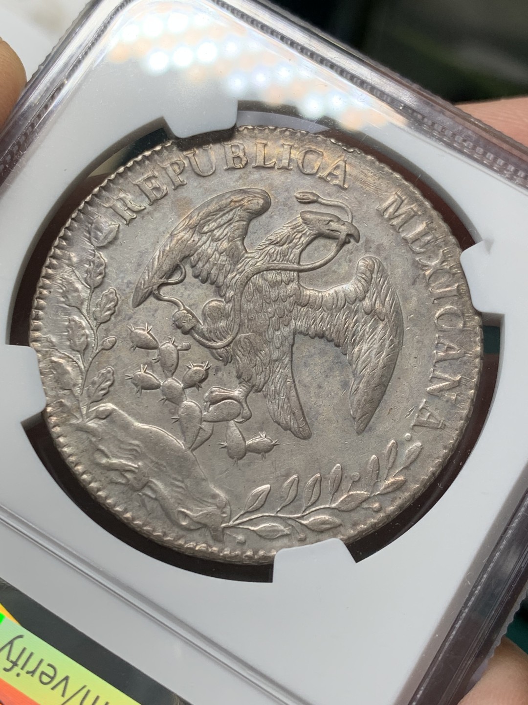 《竞宝斋》第146场-周日，周一 2场 (全场包邮) NGC AU 墨西哥 1881年 8R 花边鹰洋 PL底板 羽毛好 可惜有划