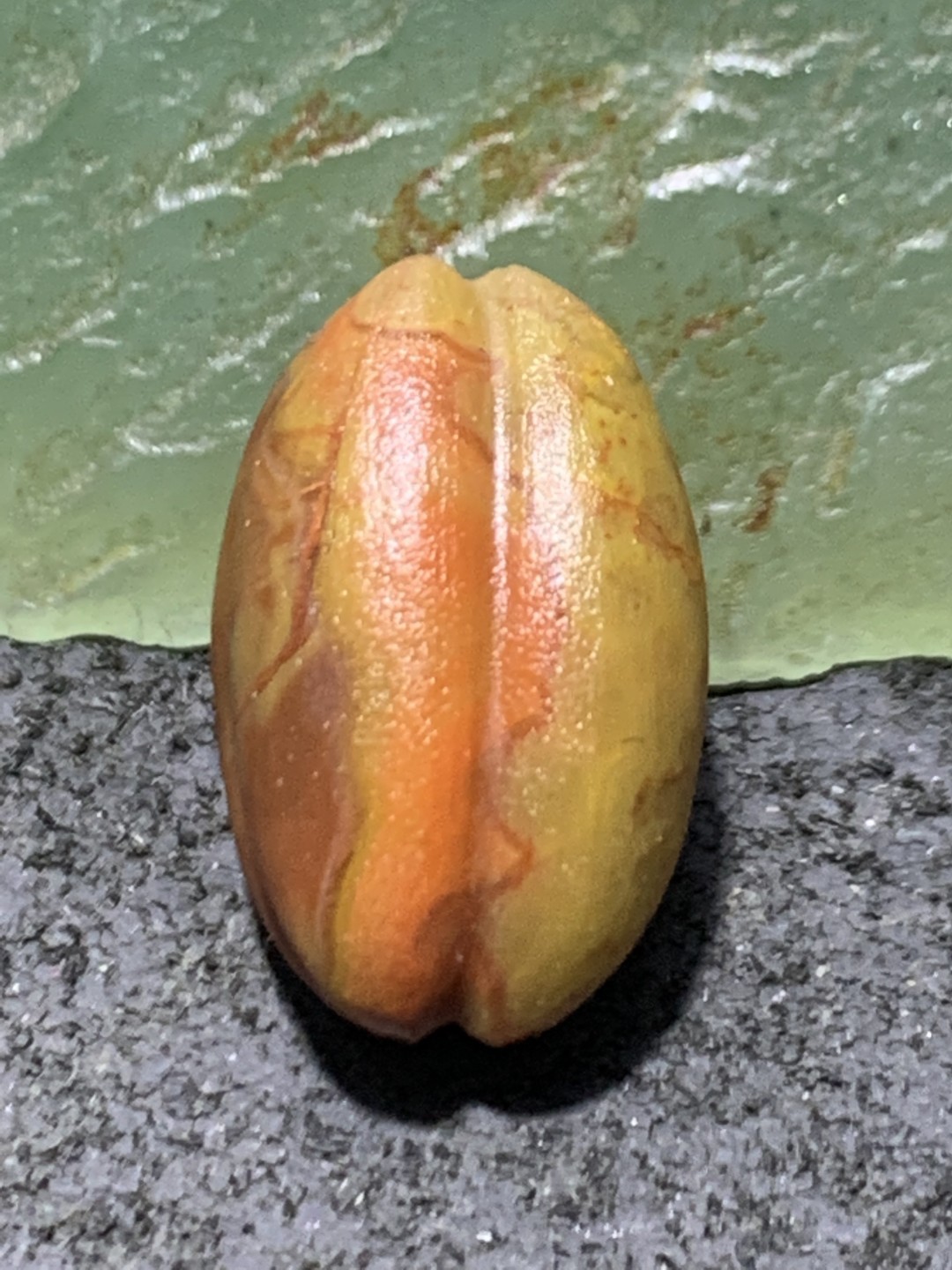 精美战国红玛瑙亚光瓜珠一颗