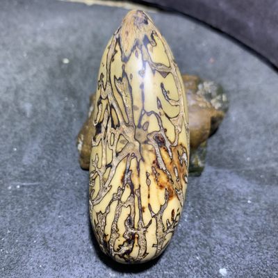 仅此一颗！精美俏色千眼菩提把件一个， - 仅此一颗！精美俏色千眼菩提把件一个，