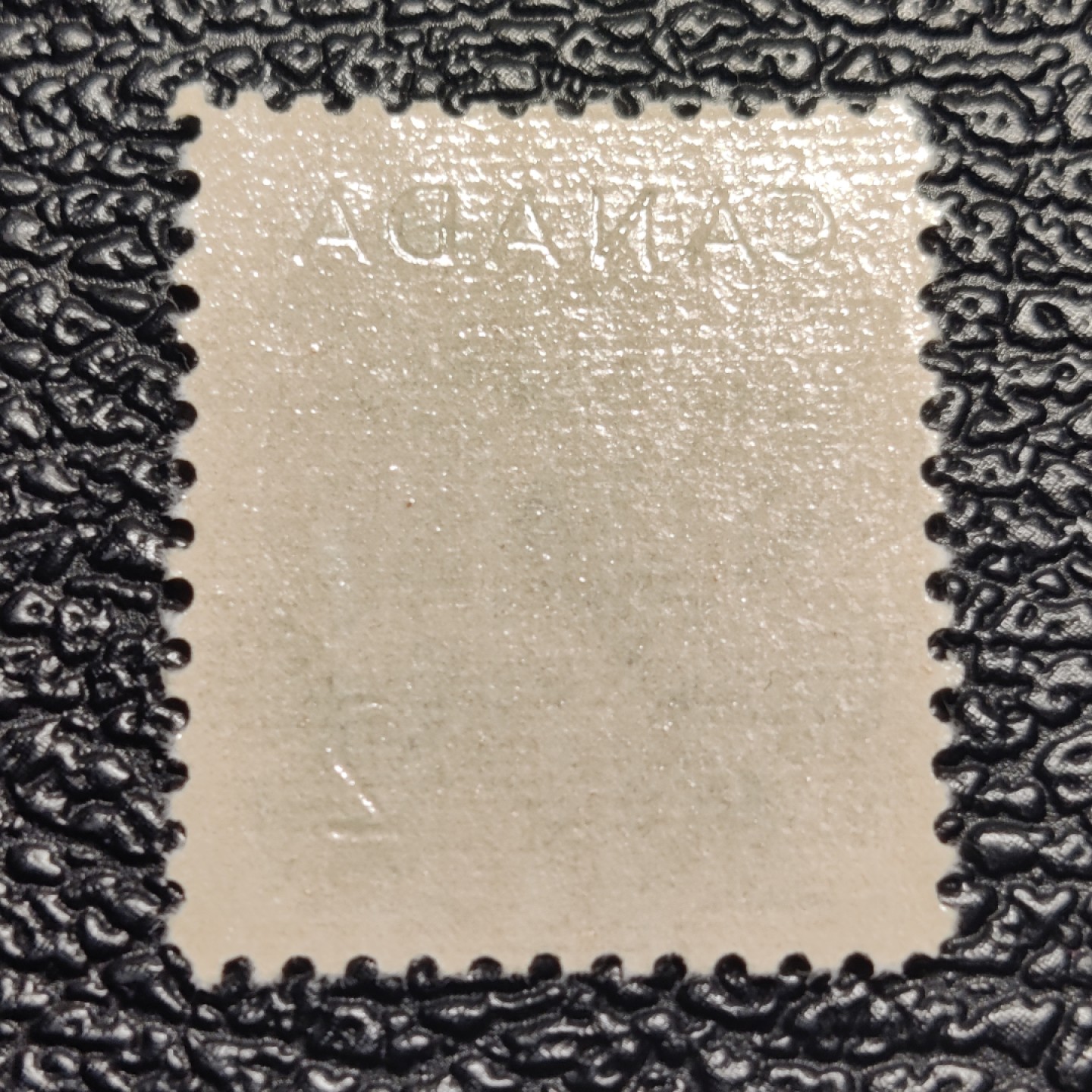 洪涛臻品批发群  精选邮票限时拍卖第二百七十七期 加拿大1953年 北极白熊 新票, 精美雕刻版, 原胶完美润亮 相当难得的品相, 漂亮！ 