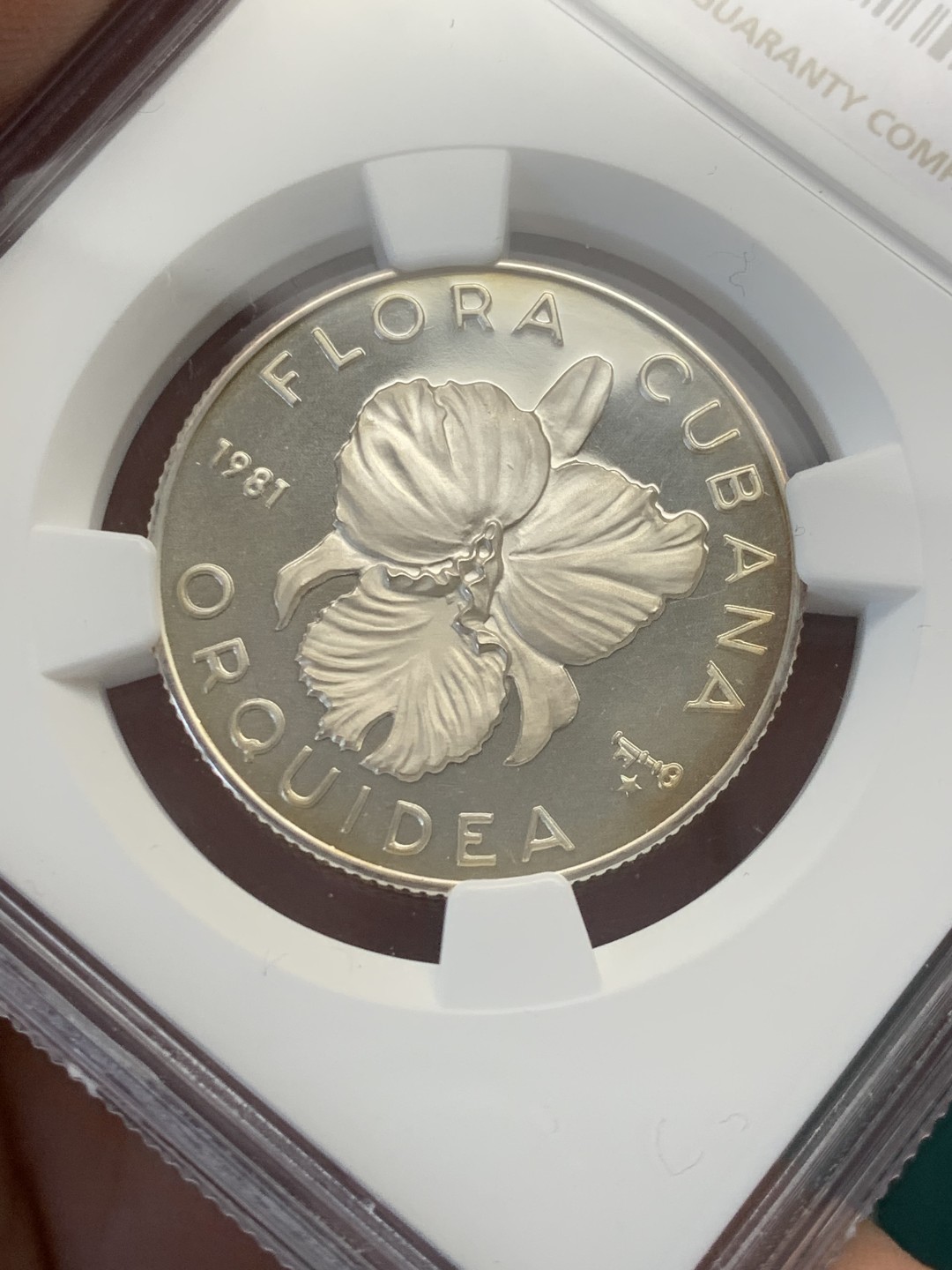 《竞宝斋》第146场-周日，周一 2场 (全场包邮) NGC-PF68 古巴1981年 兰花5比索精制银币 普制比较常见，精制很少