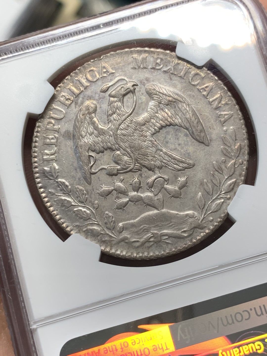 《竞宝斋》第146场-周日，周一 2场 (全场包邮) NGC AU 墨西哥 1881年 8R 花边鹰洋 PL底板 羽毛好 可惜有划